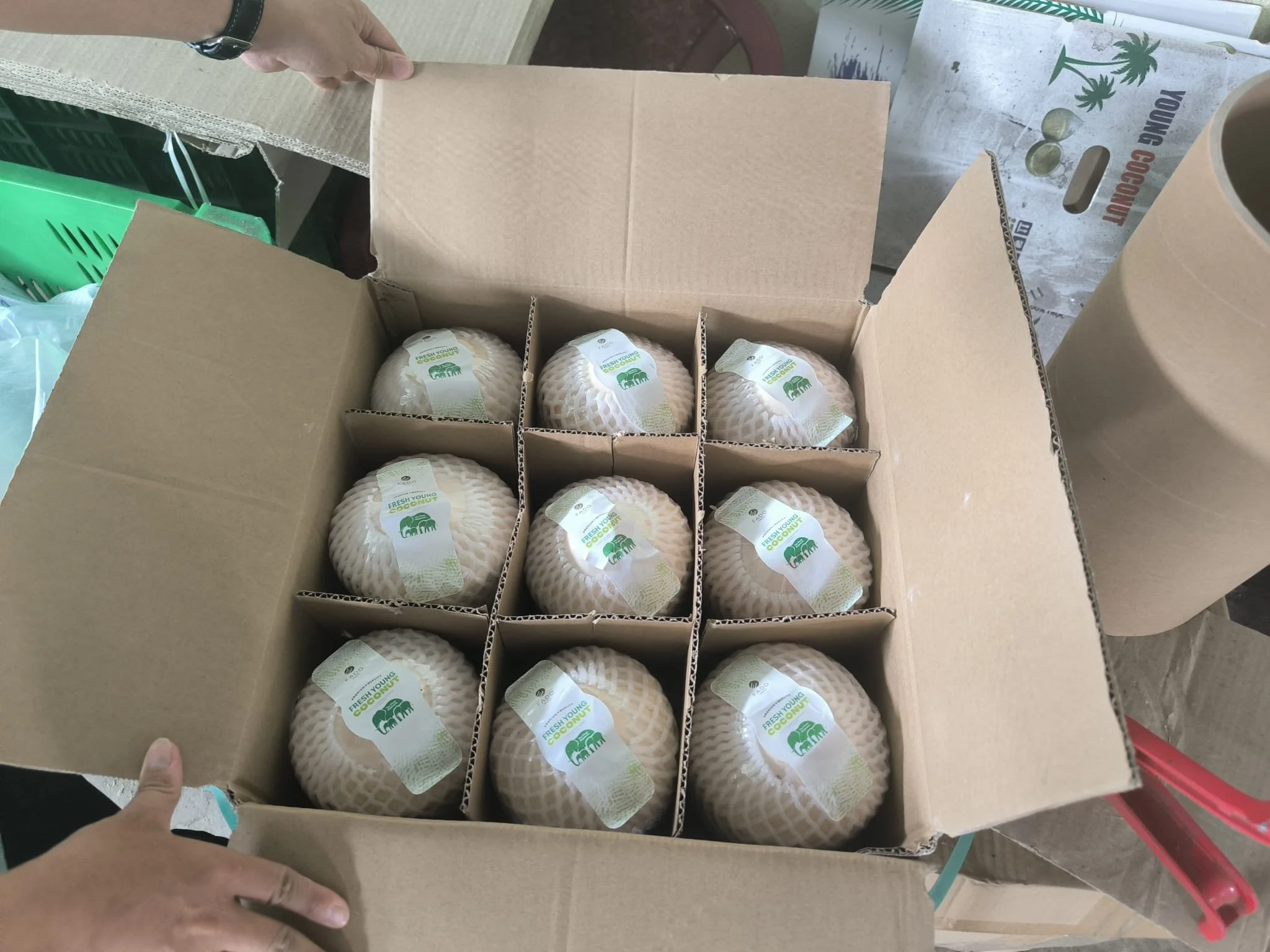 A cardboard box containing several wrapped coconuts labeled 'Fresh Young Coconut' on a table. A person is holding the box, and the background includes a bag of coconuts and some other items.