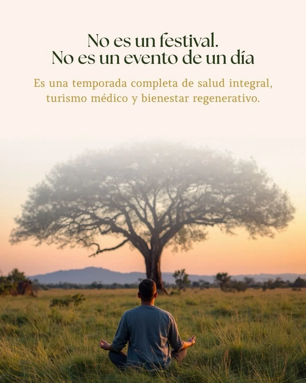 Diagnóstico de Destino