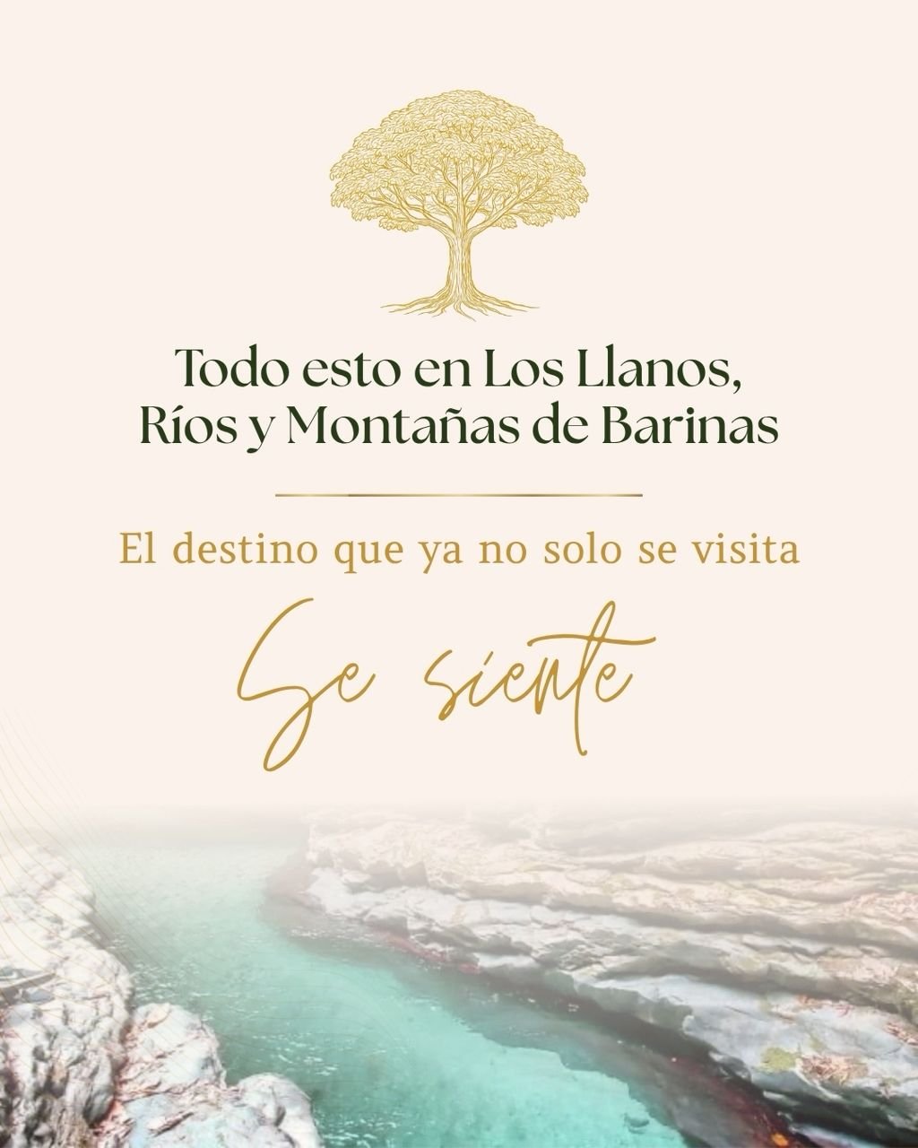 Arquitectura de Experiencia