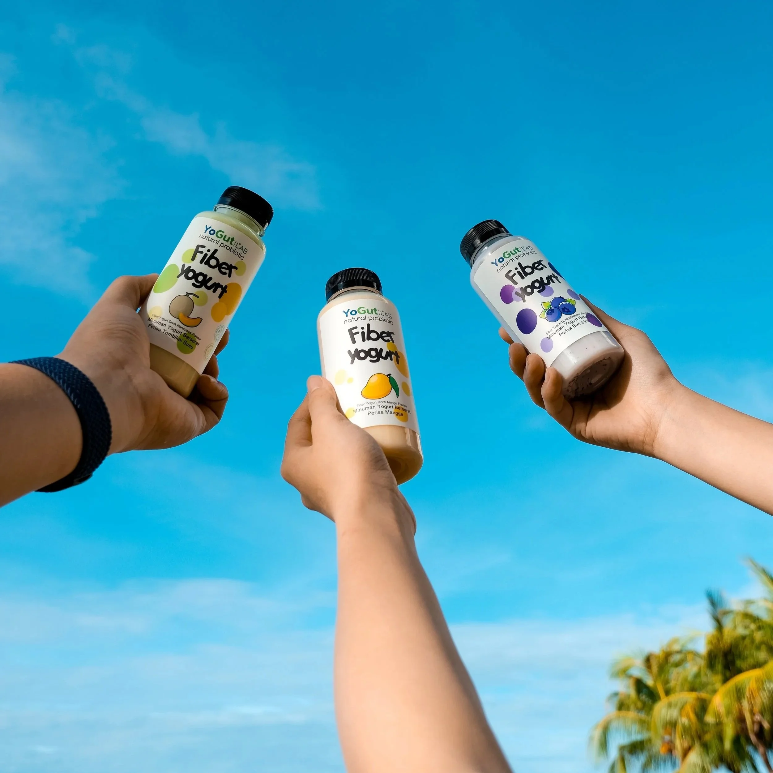 Multiple hands holding bottles of YogutLab's yogurt with blue sky and palm trees in the background.