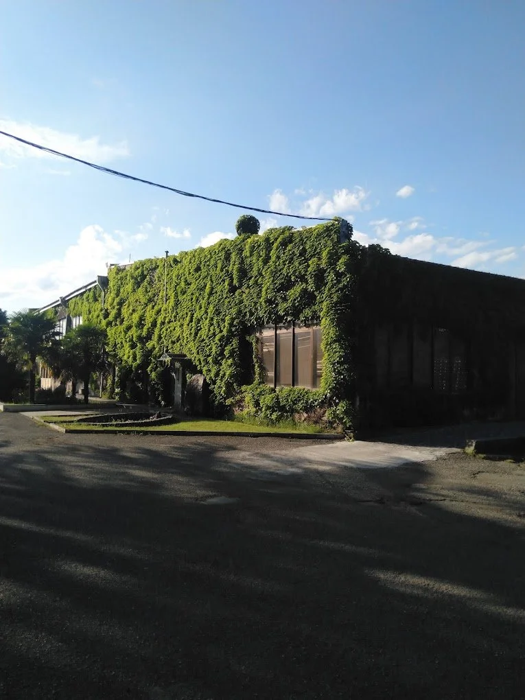 GWS (Georgian Wine &amp; Spirits)