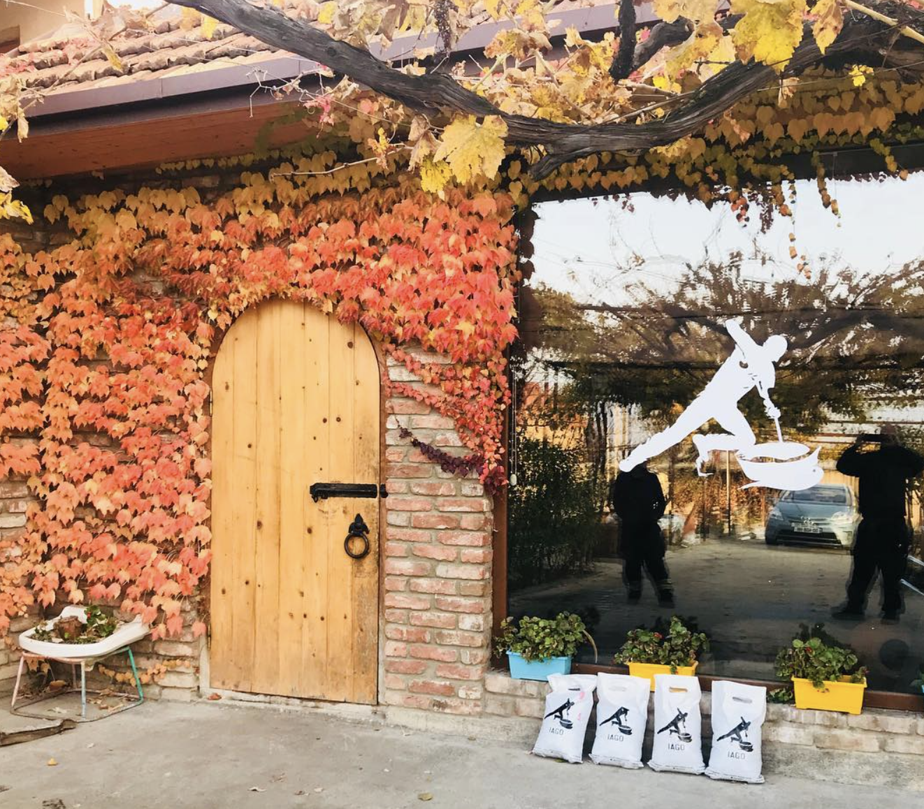 Iago’s Winery