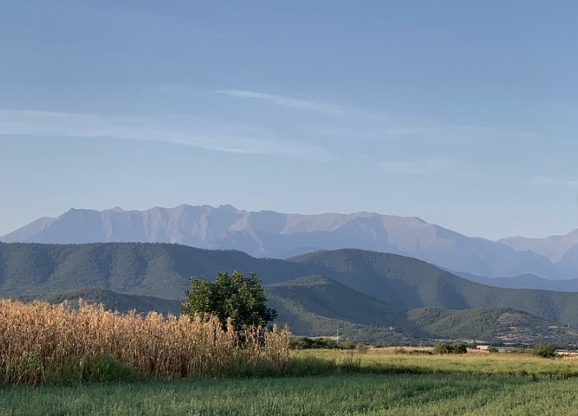 Lagvinari