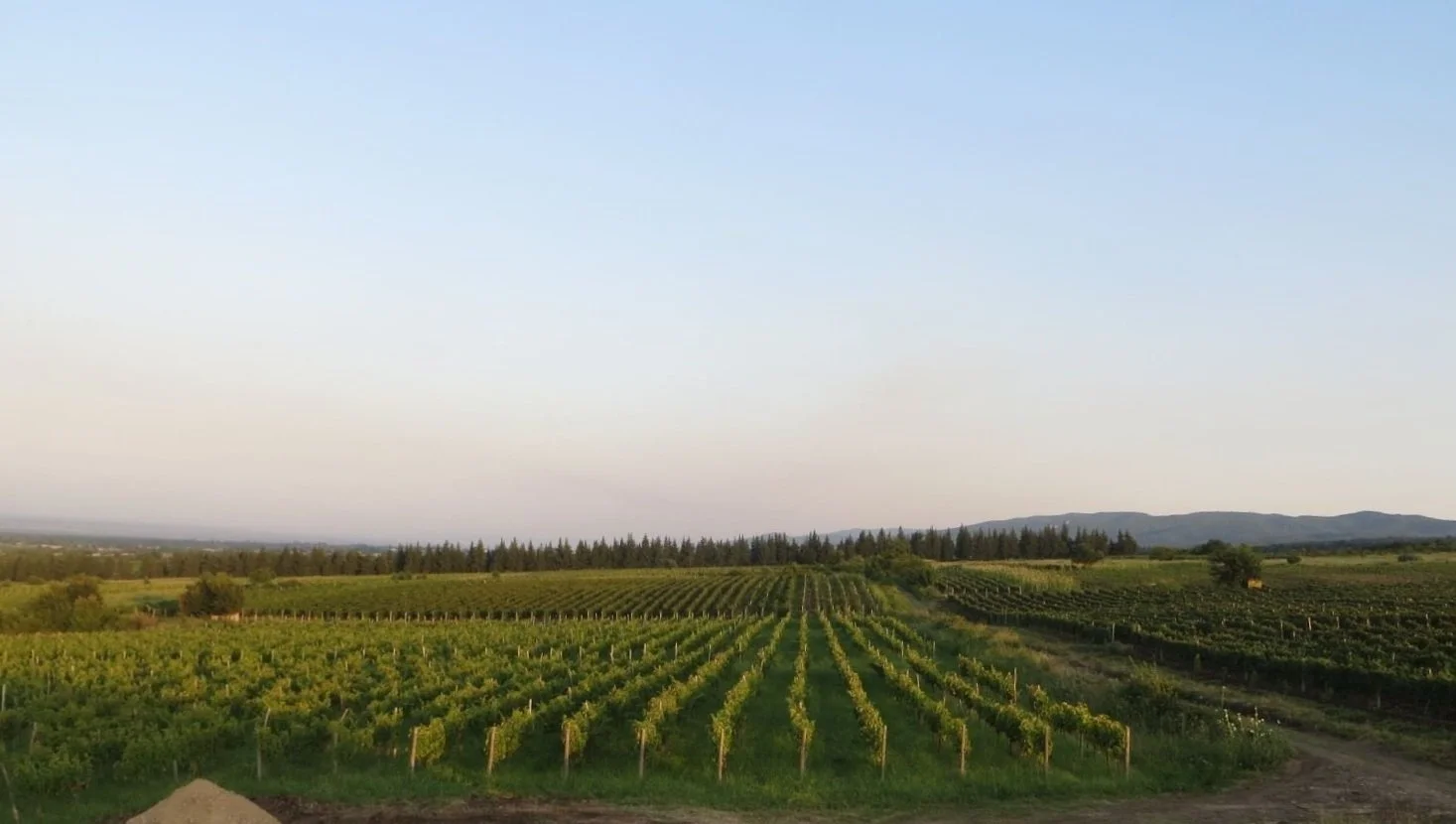 Papari Valley