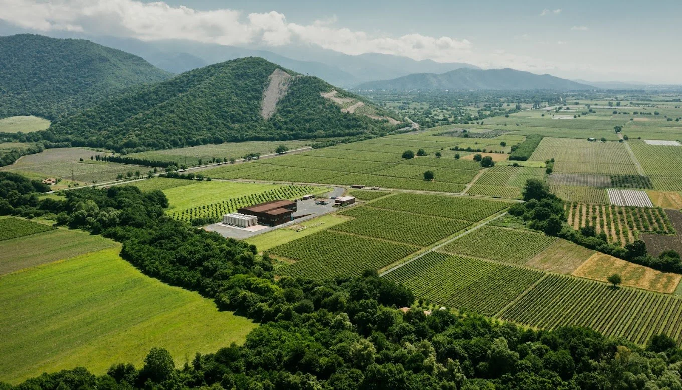 Tbilvino