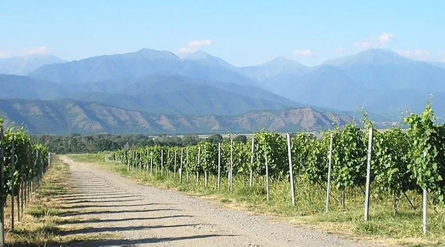 Wine Man Winery