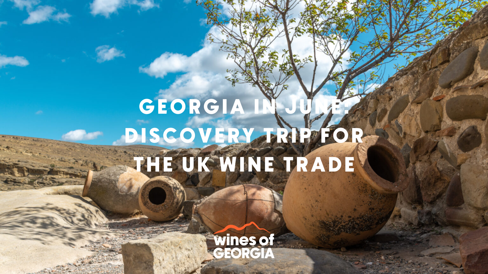 Georgia in June: Discovery Trip for the UK Wine Trade