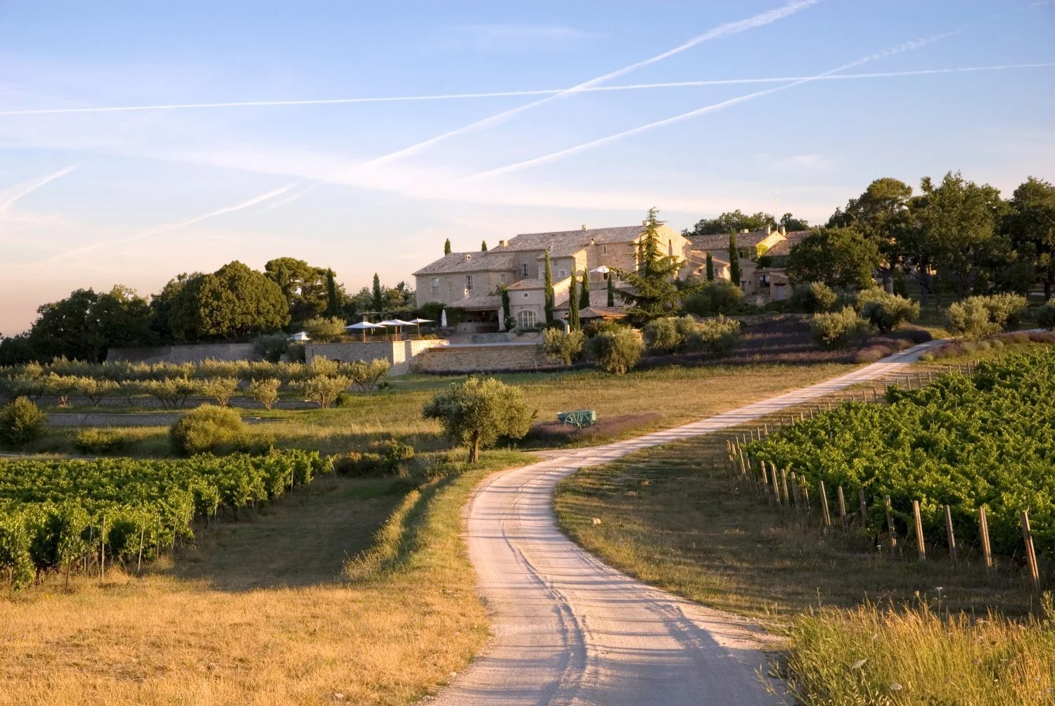 Saperavi Joins the Ranks of the World’s Fine Wines