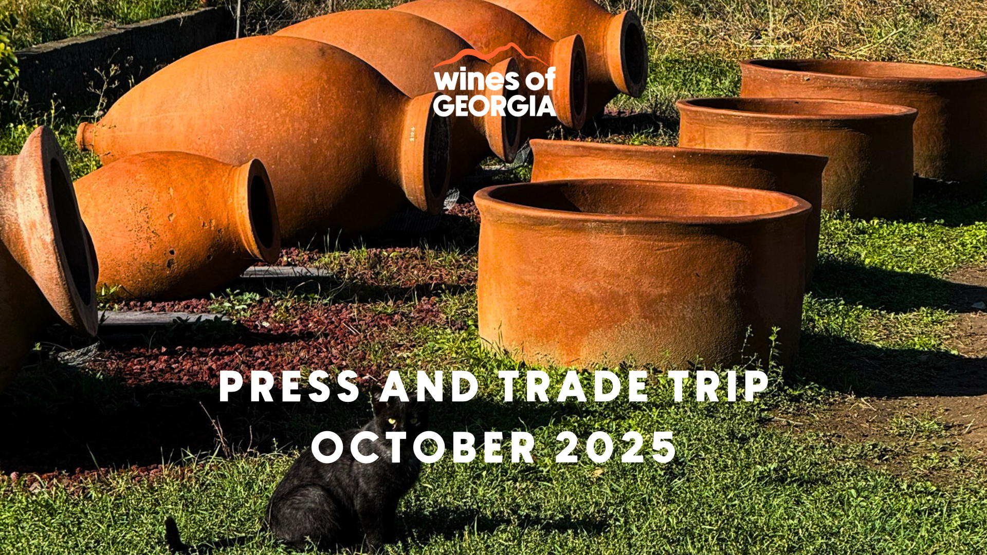 THE UK WINE TRADE MEETS GEORGIAN WINEMAKERS