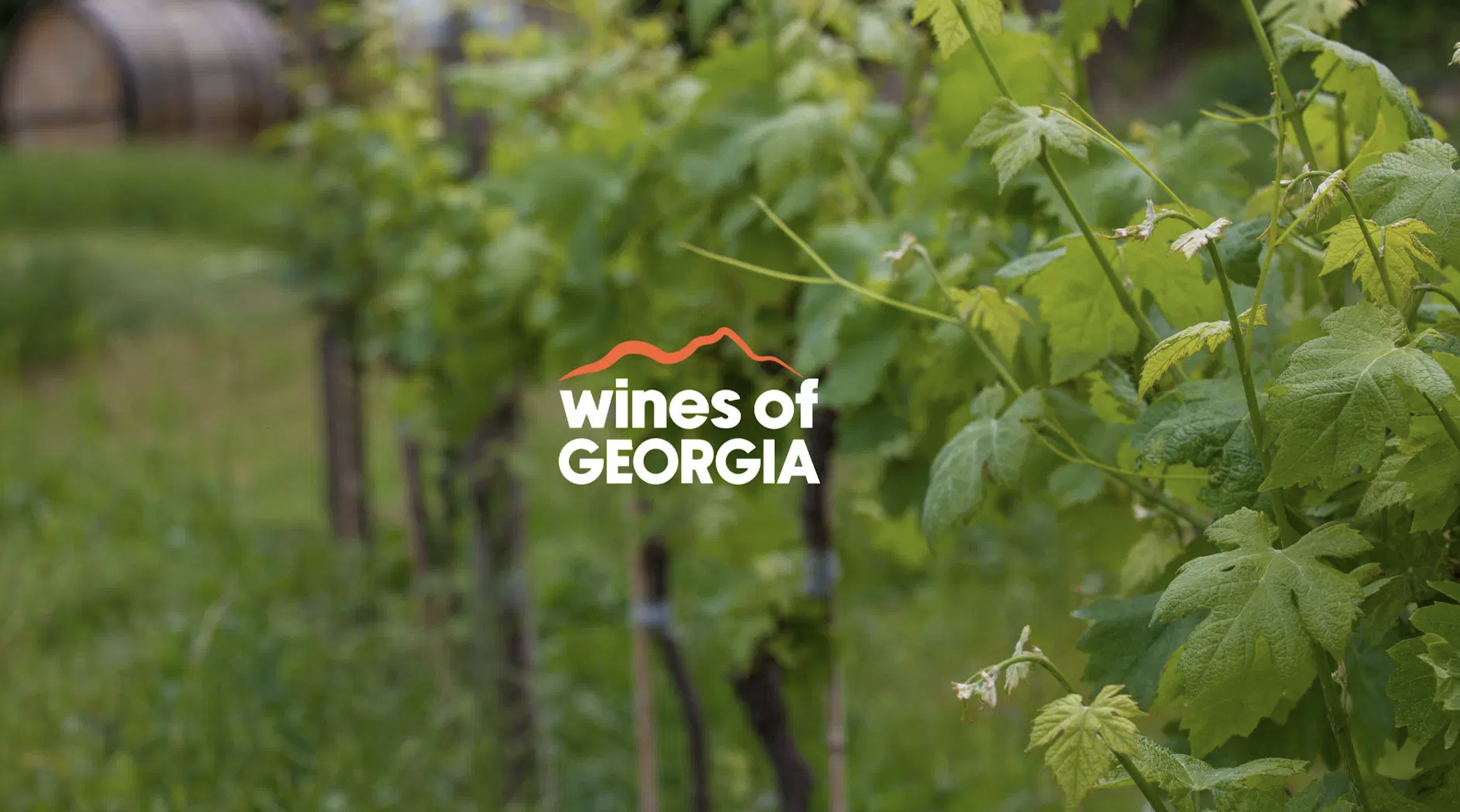 Visiting Georgia’s Wine Regions: Kakheti and Kartli