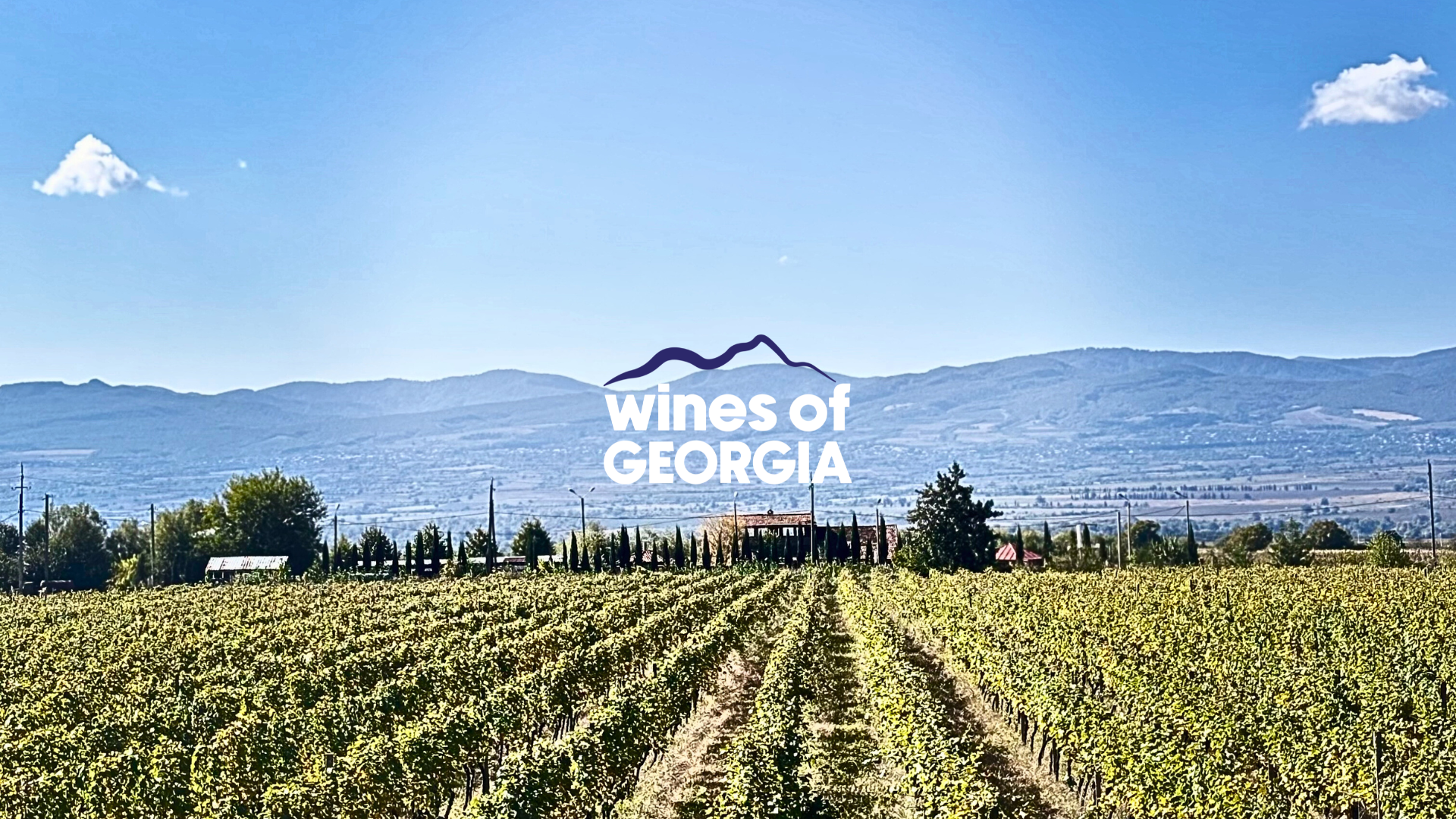 Visiting Georgia's Wine Regions: Imereti, Racha and more