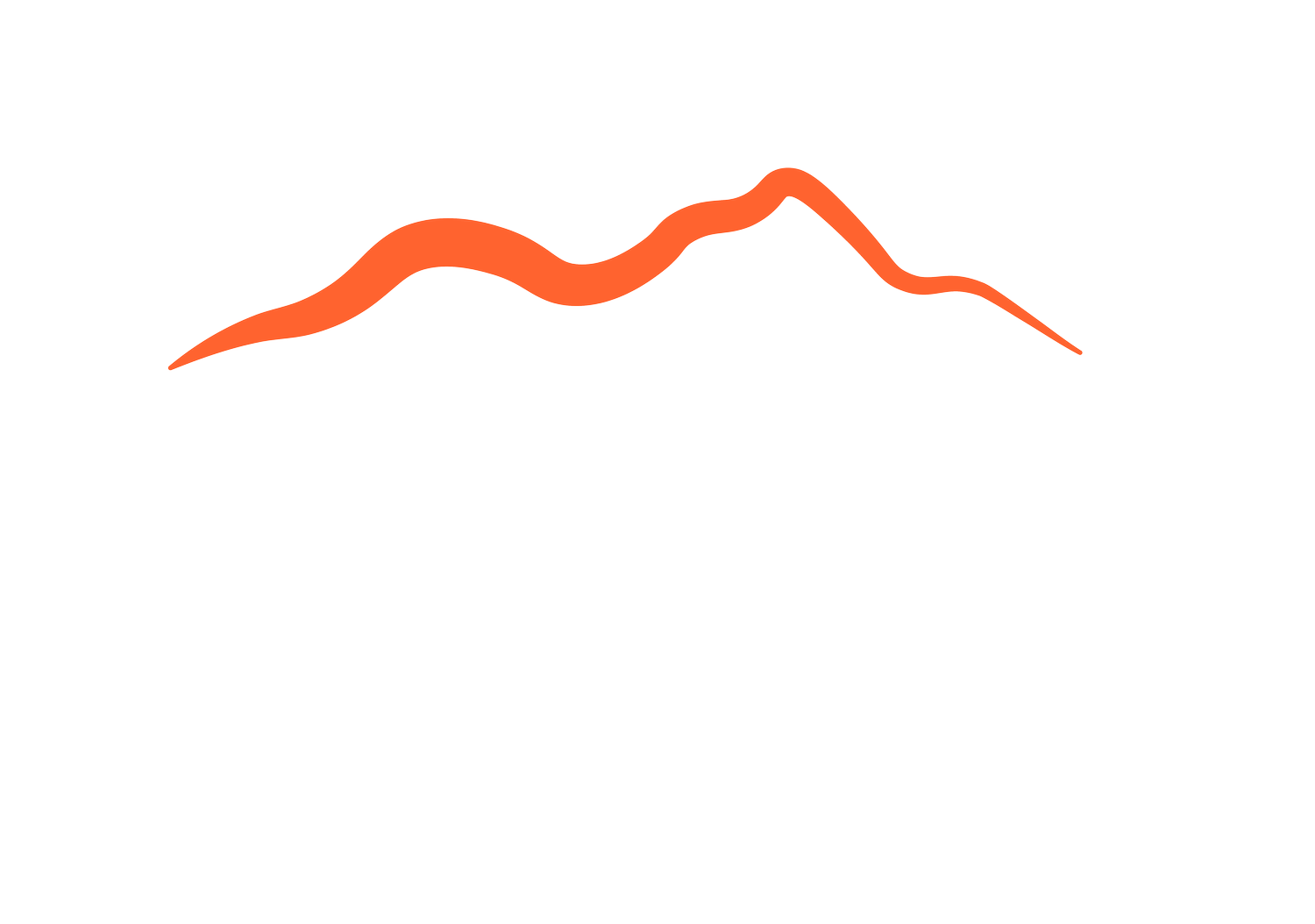 Wines of Georgia (Copy)