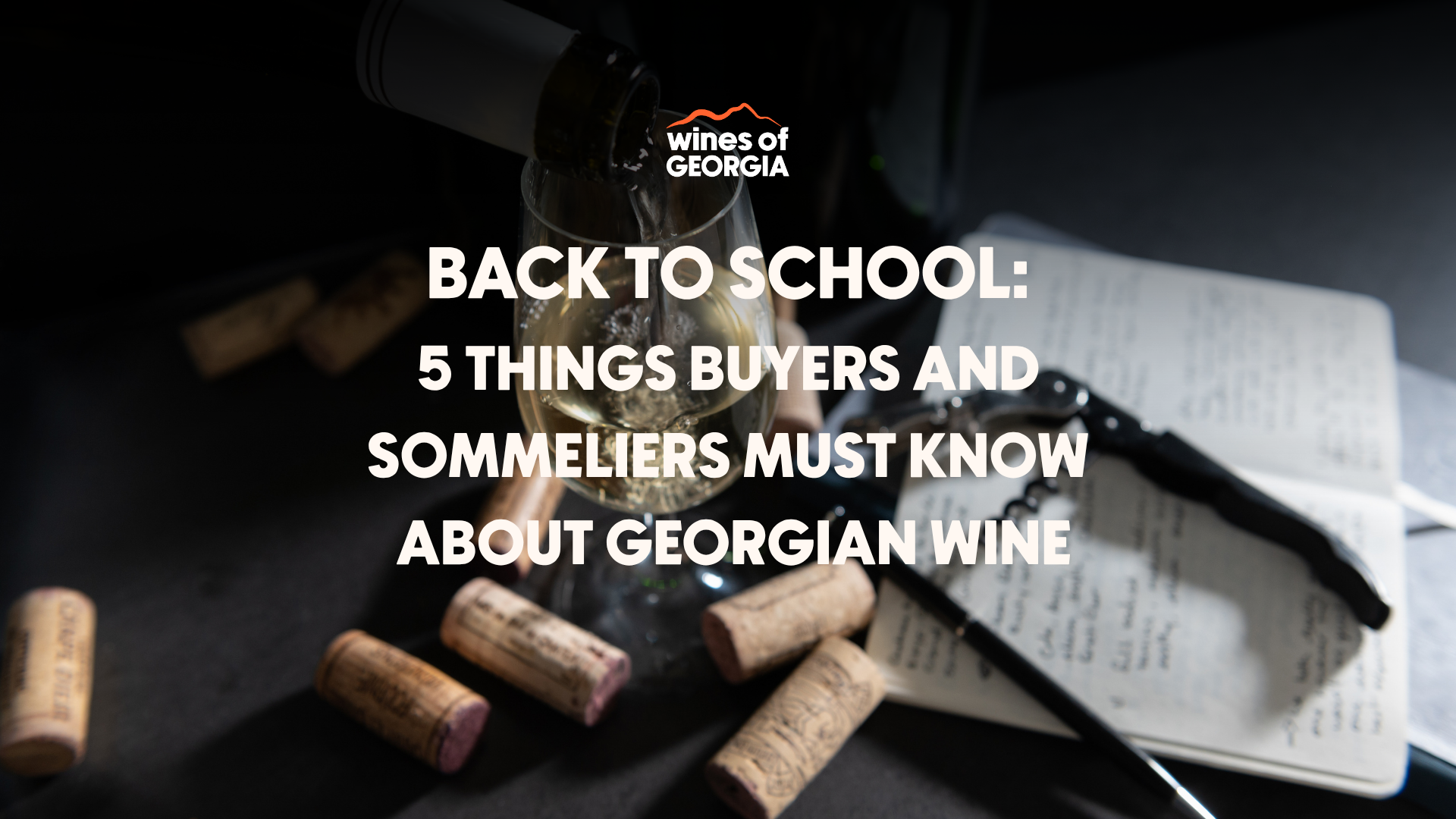 Back to School: 5 Things Buyers and Sommeliers Need to Know About Georgian Win