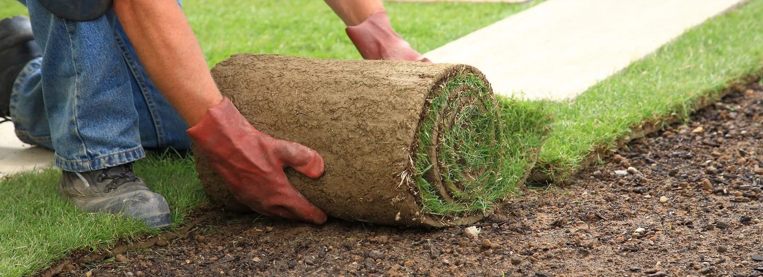 Lawn Maintenance