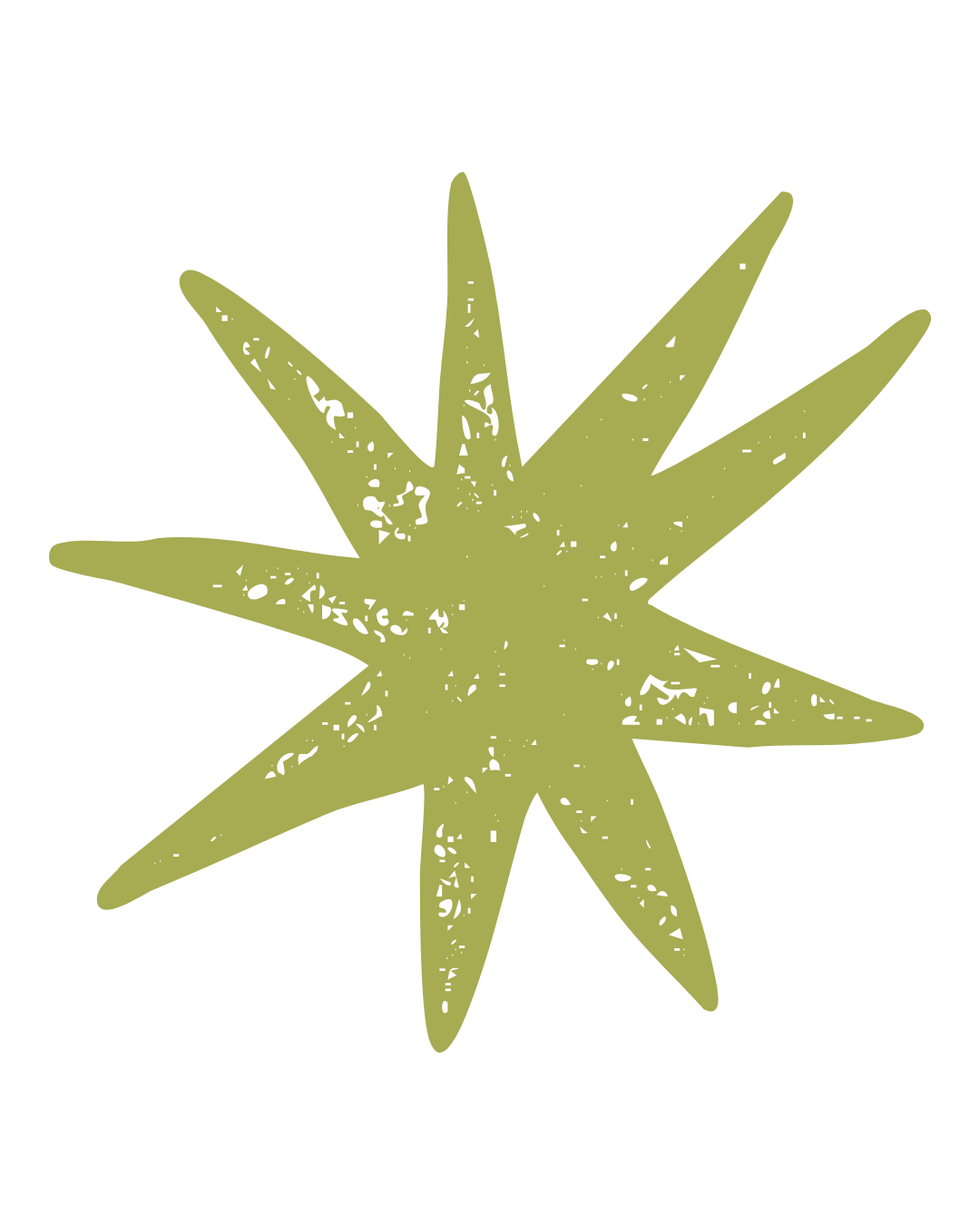 A green star-shaped leaf with long, pointed tips, isolated on a black background.