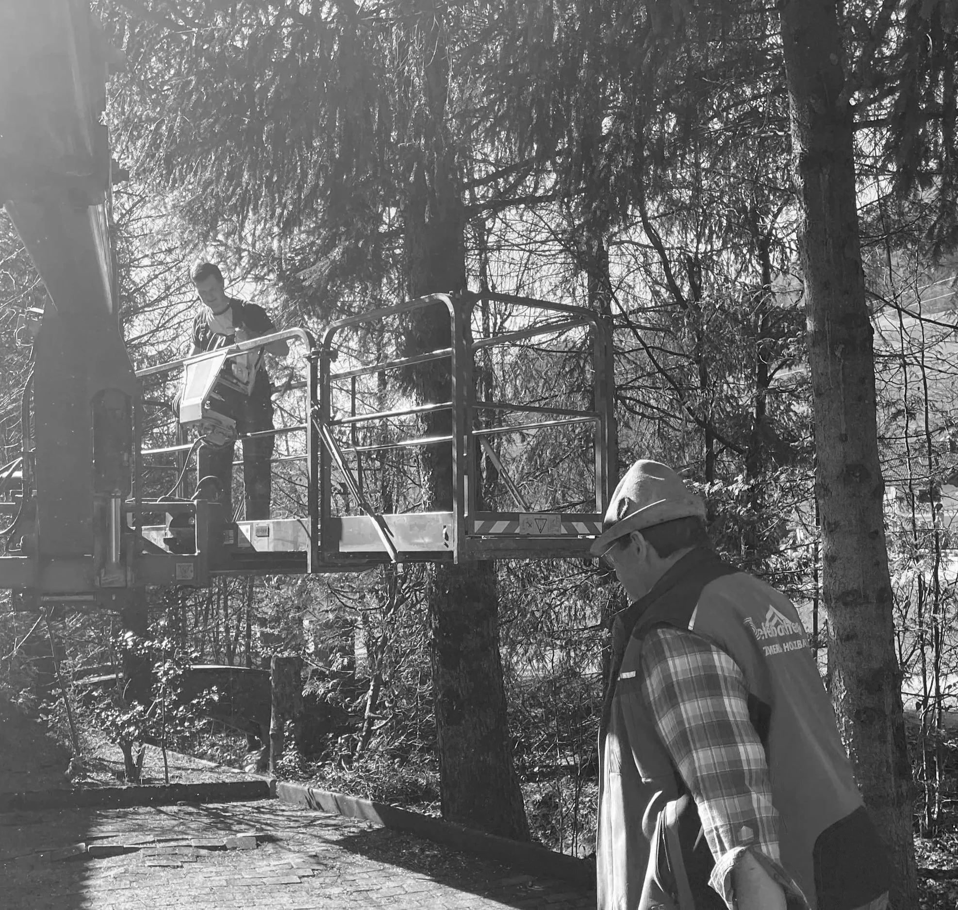 Tiefenbacher Holzbau - Geschäftsführung