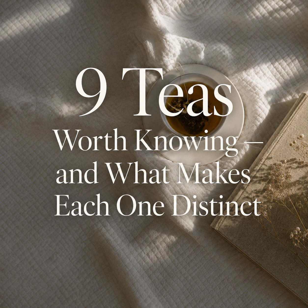 9 Teas Worth Knowing — and What Makes Each One Distinct