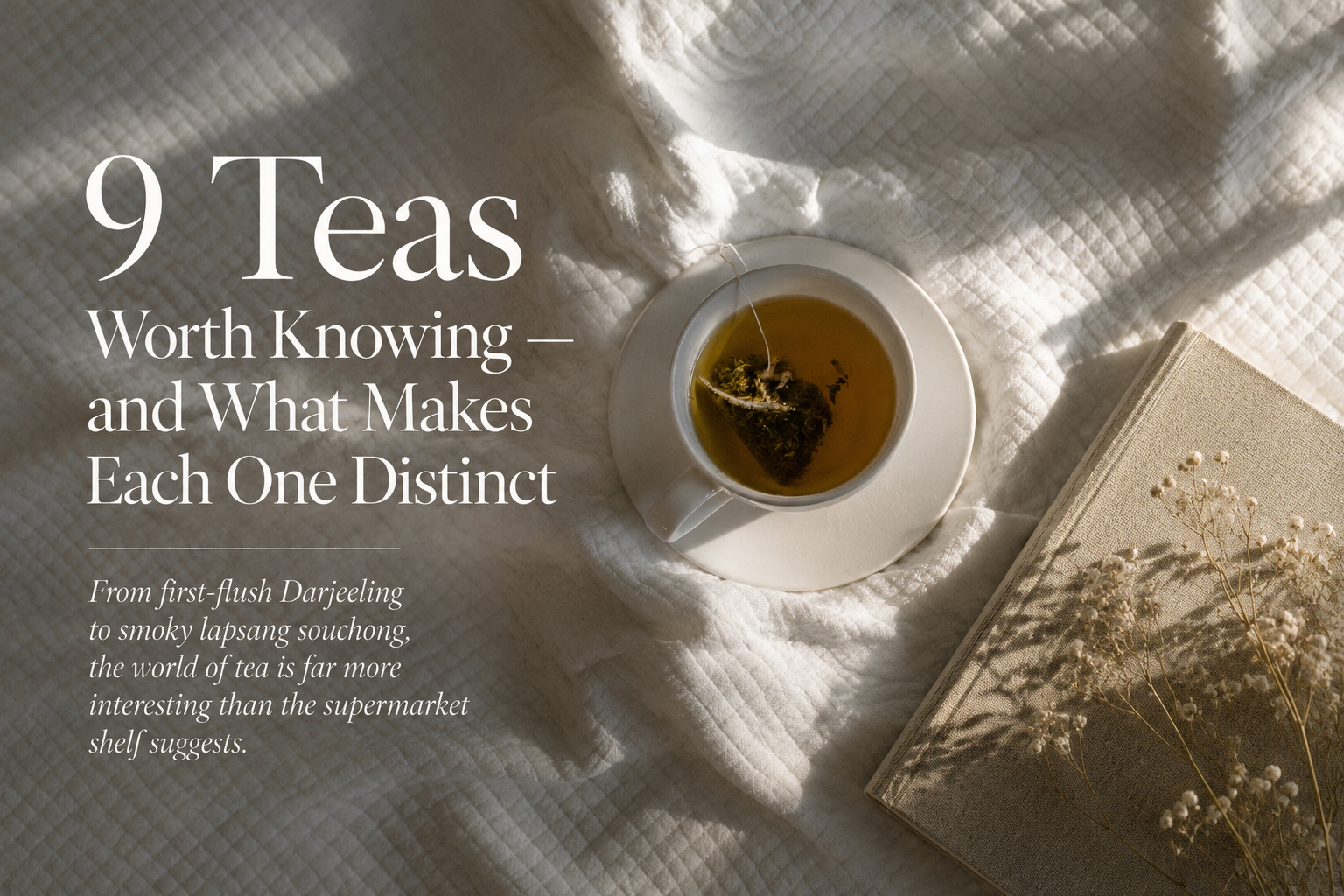 A cup of tea rests on a sunlit white quilt beside a linen-covered book and dried flowers, overlaid with the title “9 Teas Worth Knowing — and What Makes Each One Distinct.”