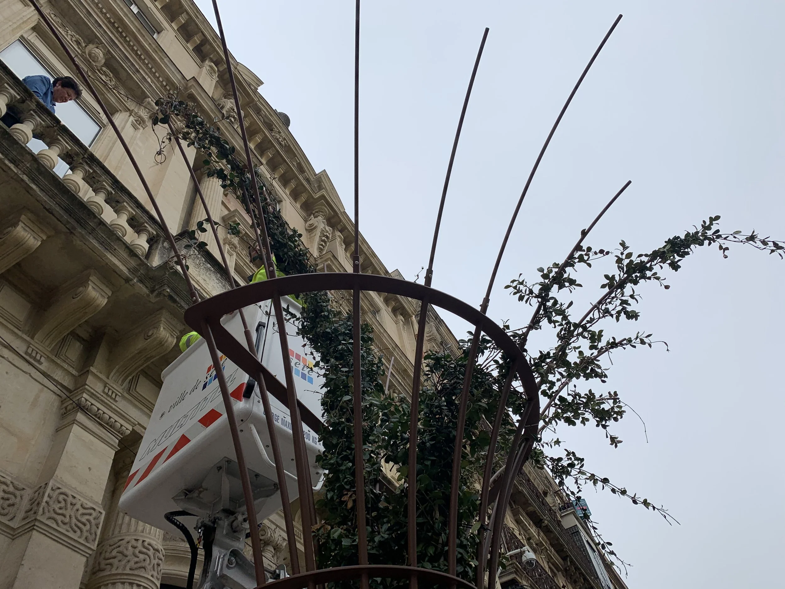 IMG_0711.jpeg