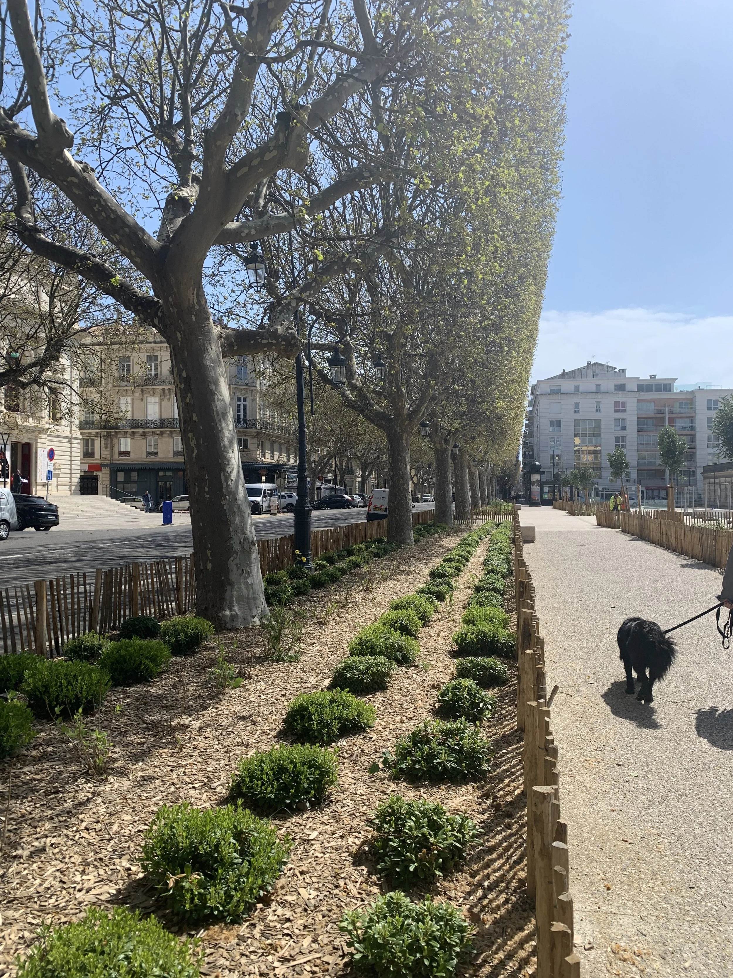IMG_7136.jpeg