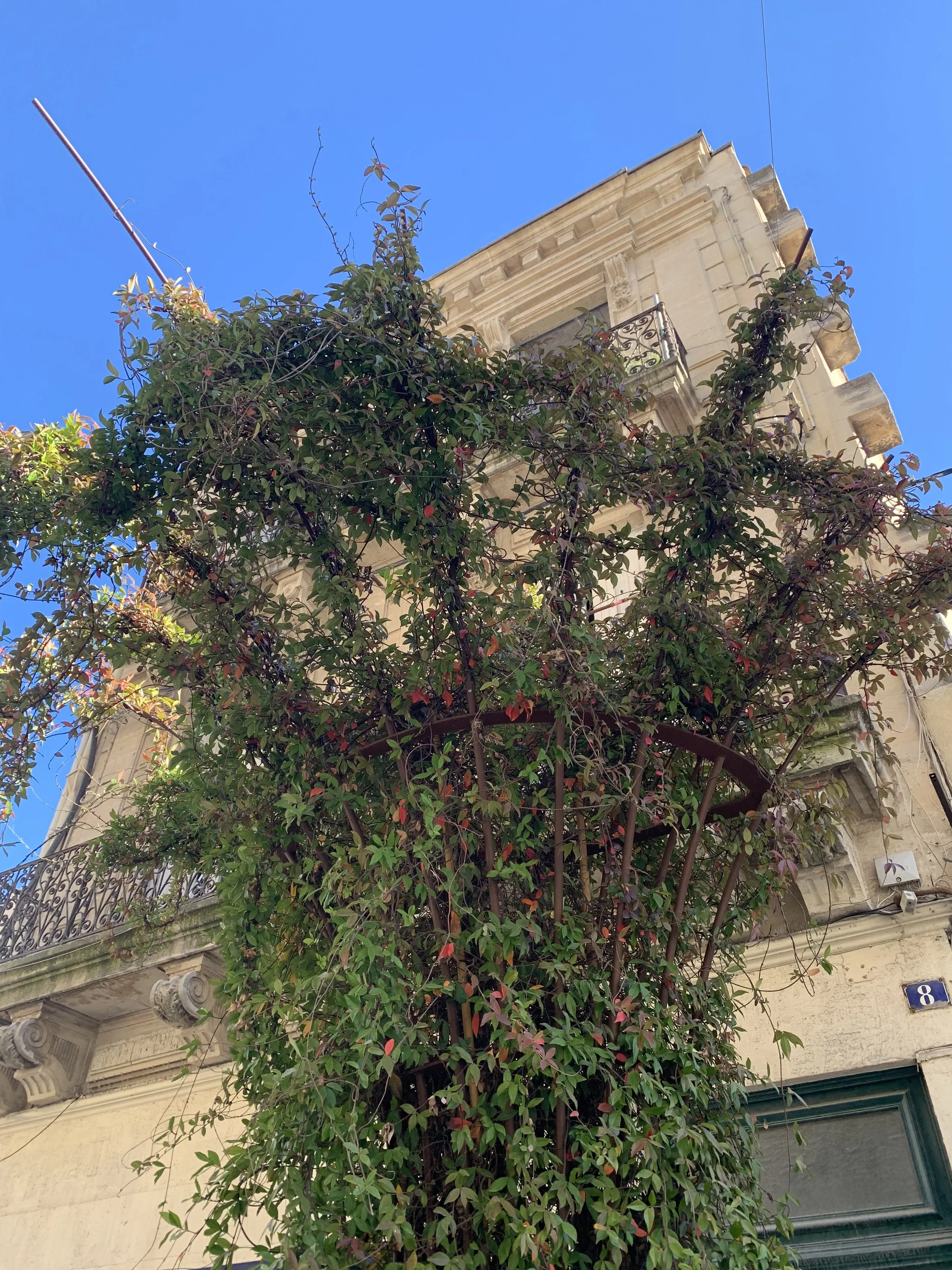 IMG_7511.jpeg