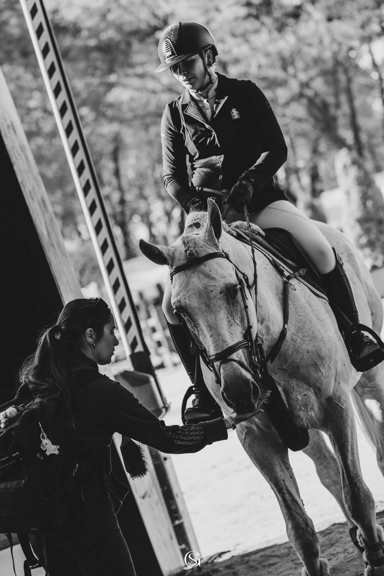 A woman in equestrian gear checking a white horse's hoof during a daytime outdoor event, with a woman in the foreground assisting, and a background with trees.