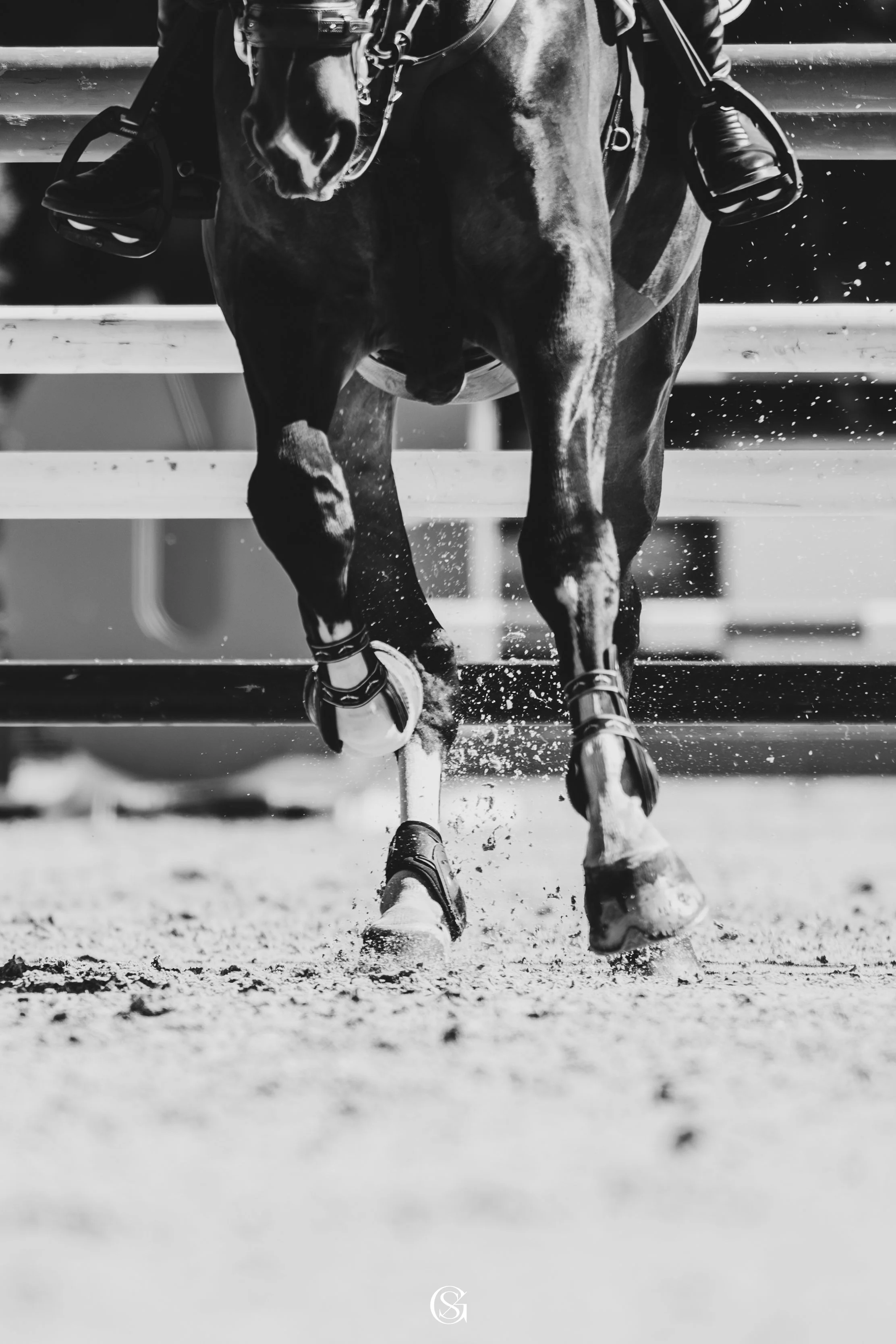 Black and white photo of a horse jumping over a hurdle, with rider and jockey gear visible, on a dirt track.