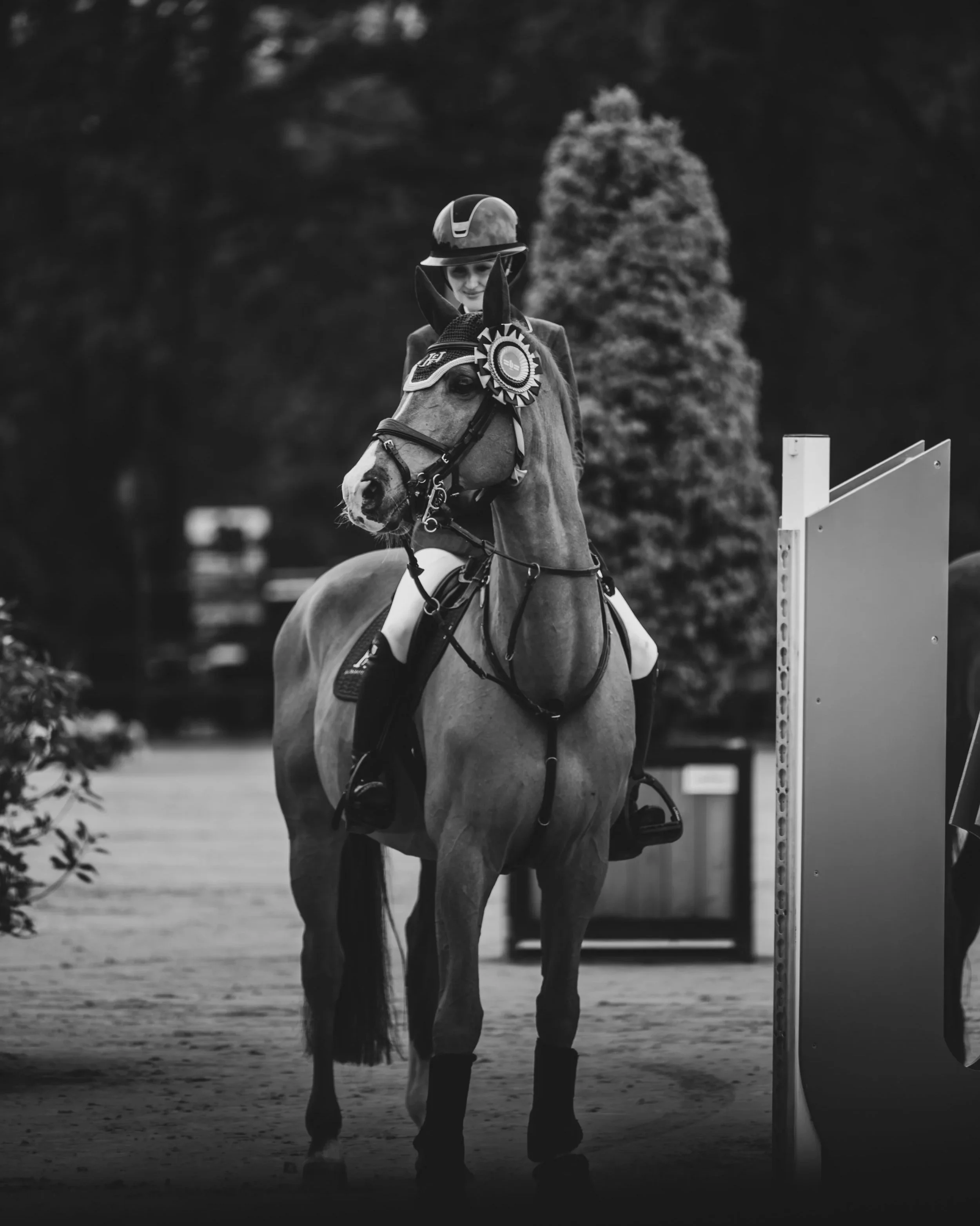 A person riding a horse, wearing a helmet, with a ribbon on the horse's bridle, in an outdoor equestrian setting with trees in the background.