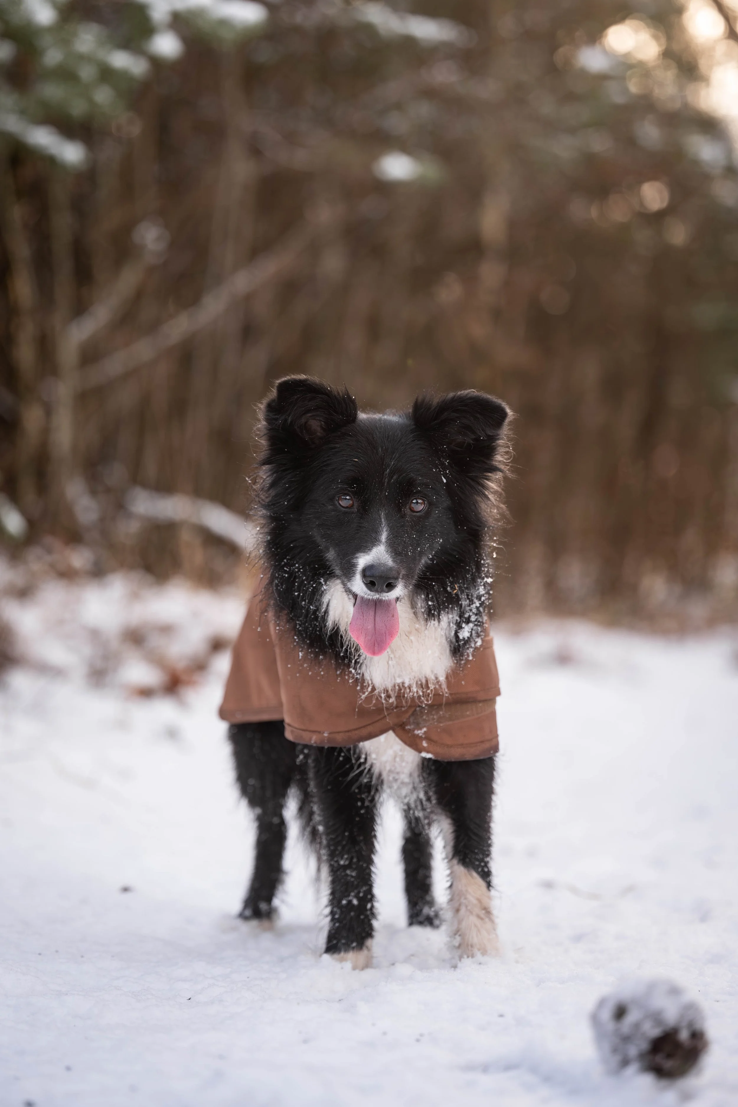 DSC_4011 2.JPG