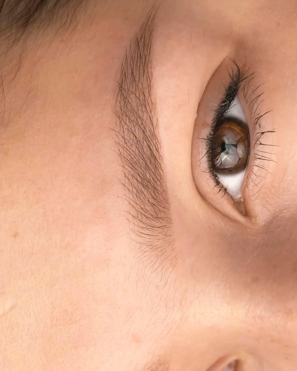Gros plan sur un maquillage semi-permanent de sourcils effet poudré