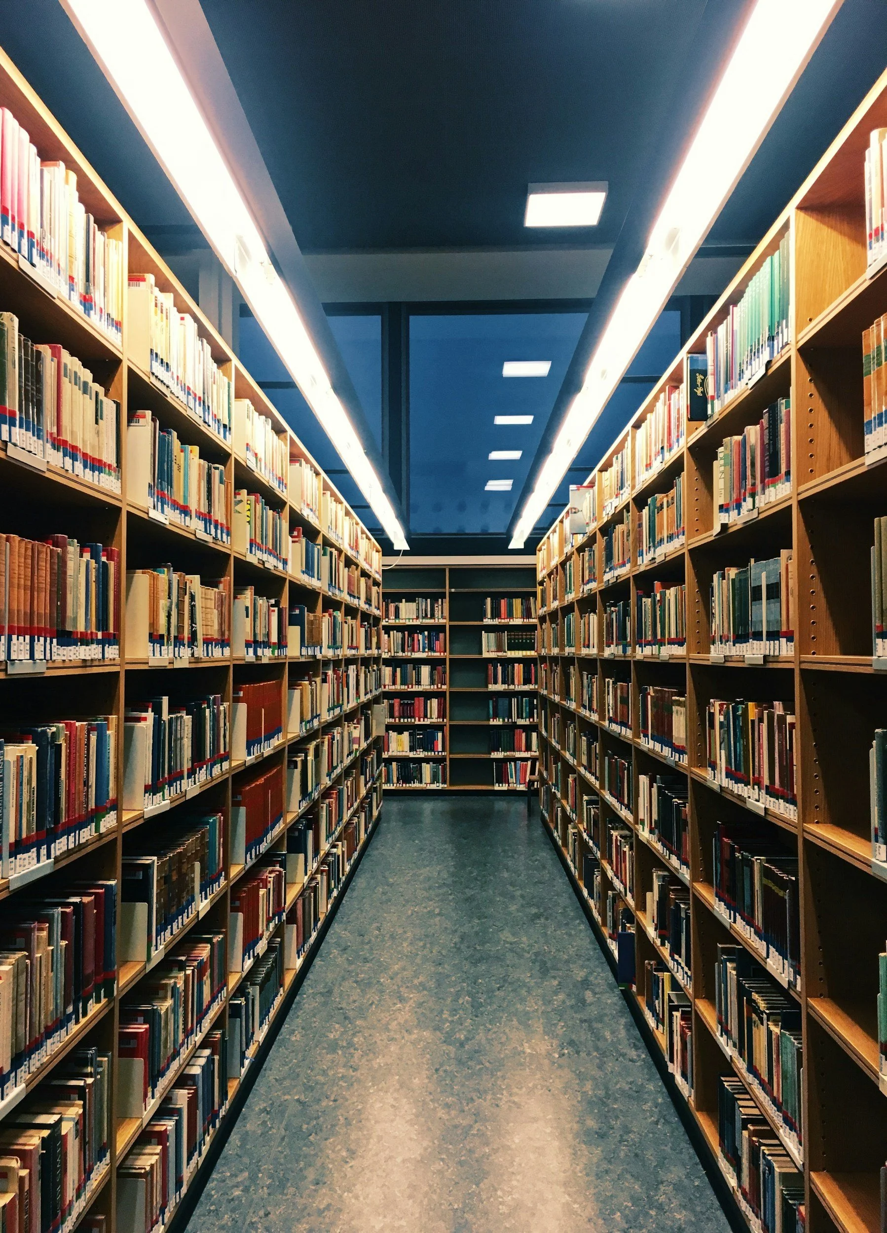A view inside a library with tall wooden bookshelves filled with books on both sides, a blue carpeted floor, and a ceiling with long LED light fixtures. The shelves have colorful book labels.