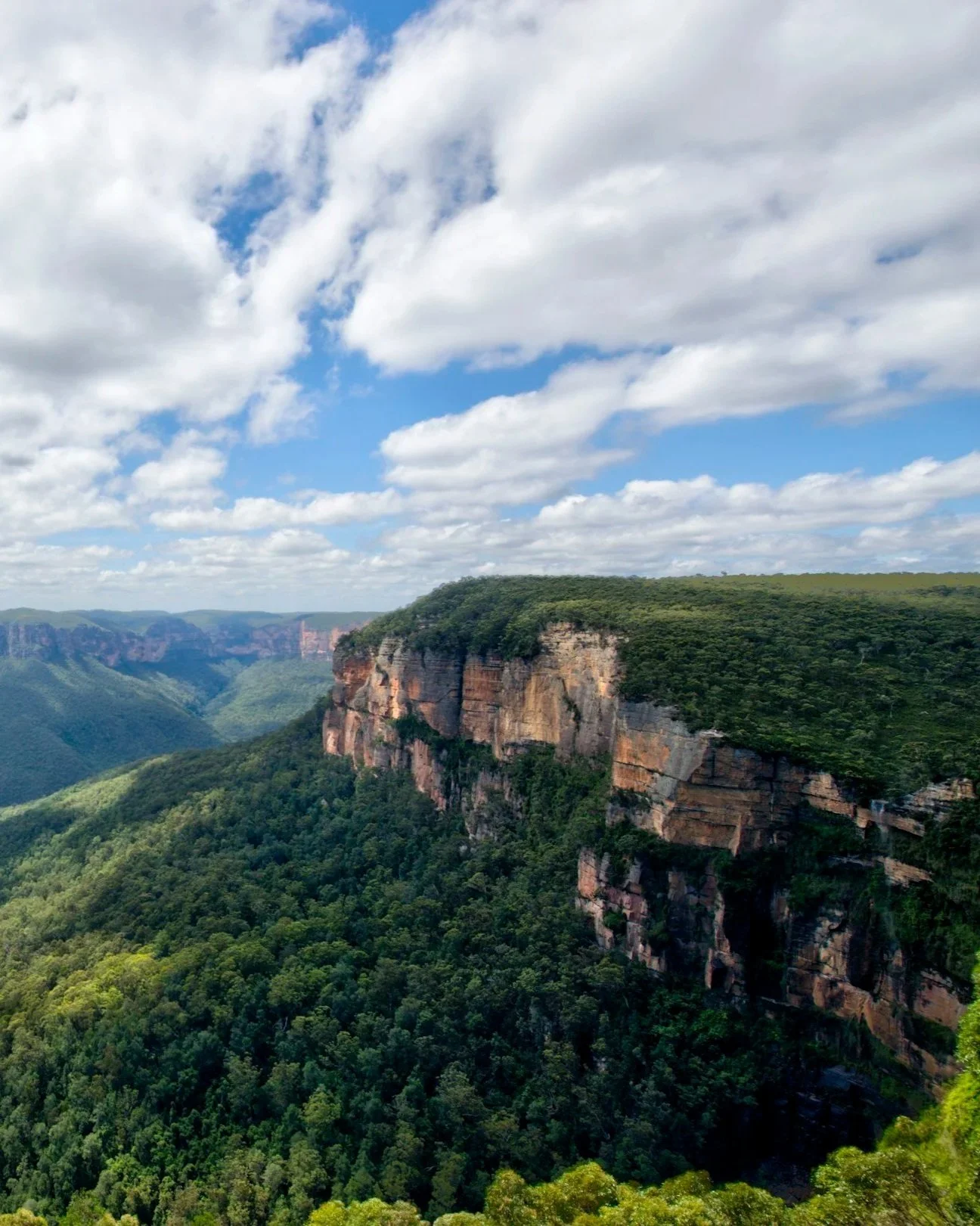 Panoramic view of sandstone cliffs and lush green forest valleys across the Blue Mountains region.