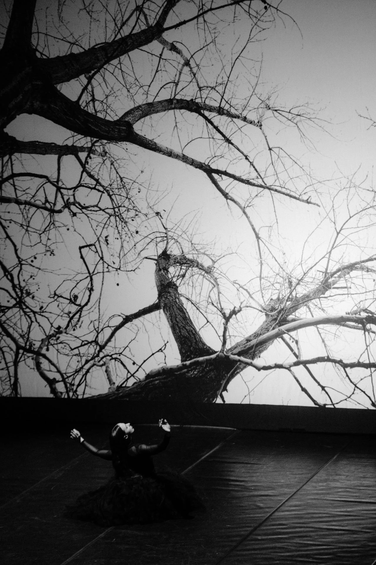 A person is performing a dance move on a stage with a large, bare tree backdrop and leafless branches. The person is dressed in dark clothing and is extending arms outward.