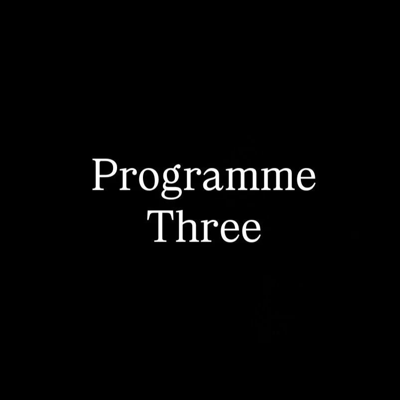 Program 3