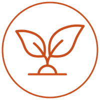 Outline of a sprouting plant with two leaves inside a circle.