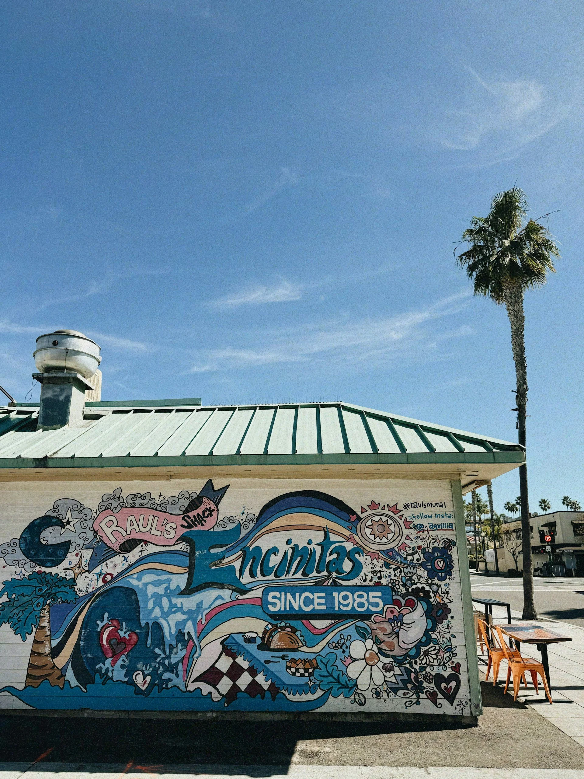 Color photo of a mural-covered beach shack in Encinitas with a tall palm tree and bright blue sky overhead.