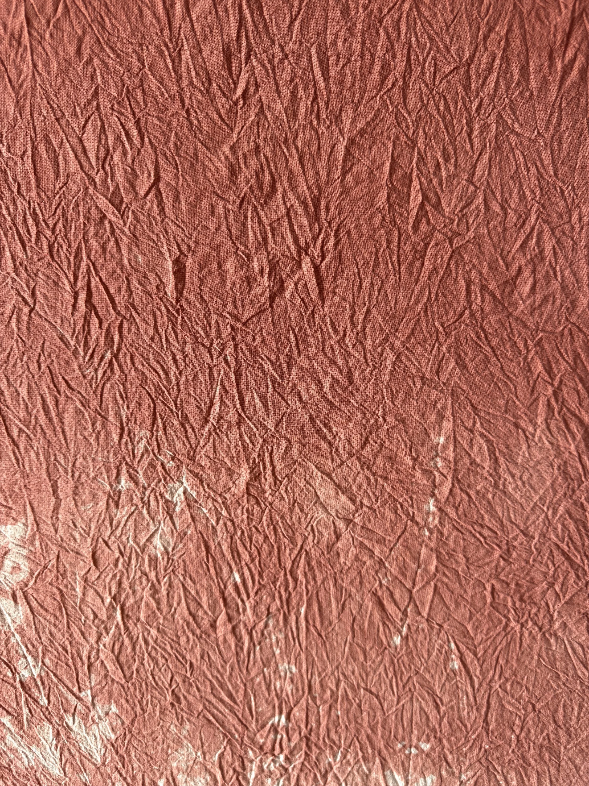 image00007.jpeg