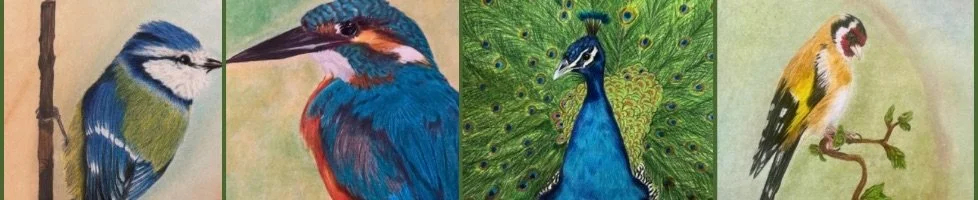 A series of four bird paintings, including a blue tit, a kingfisher, a peacock, and a goldfinch.