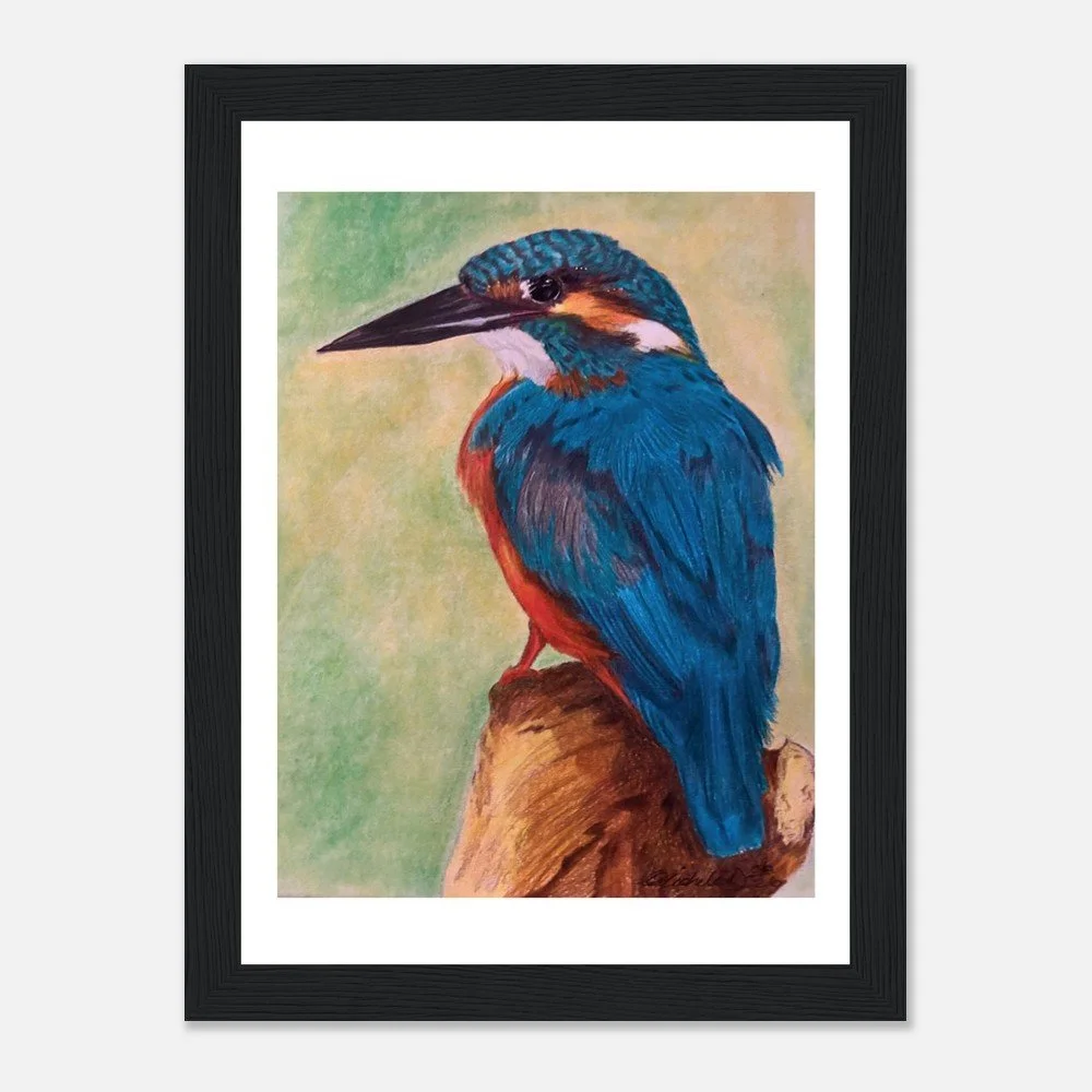 Kingfisher – Fine Art Print - Framed