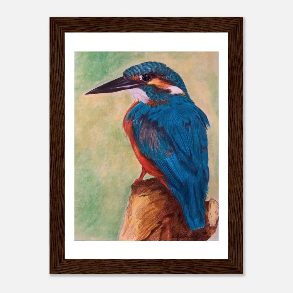 Kingfisher – Fine Art Print - Framed