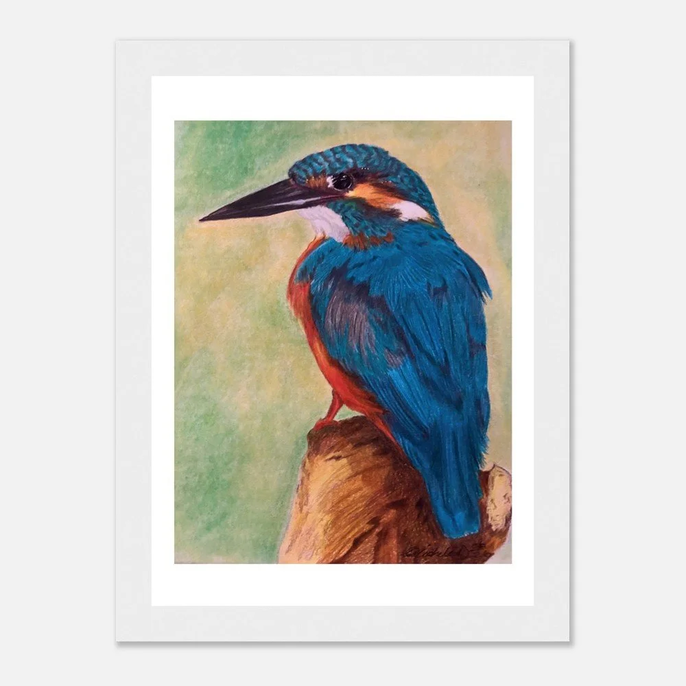 Kingfisher – Fine Art Print - Framed