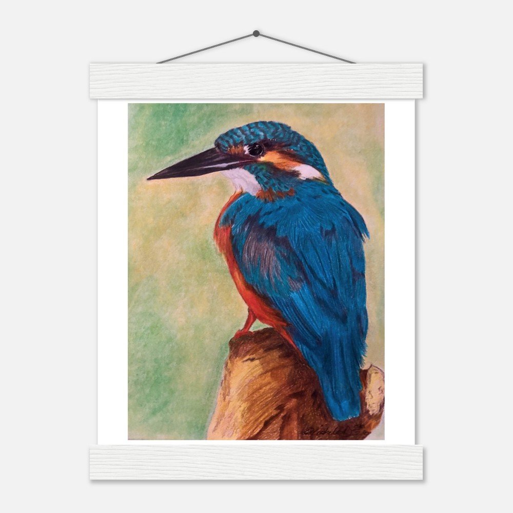 Kingfisher – Fine Art Print - Framed