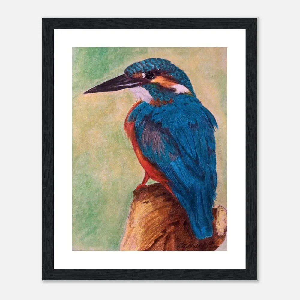 Kingfisher – Fine Art Print - Framed