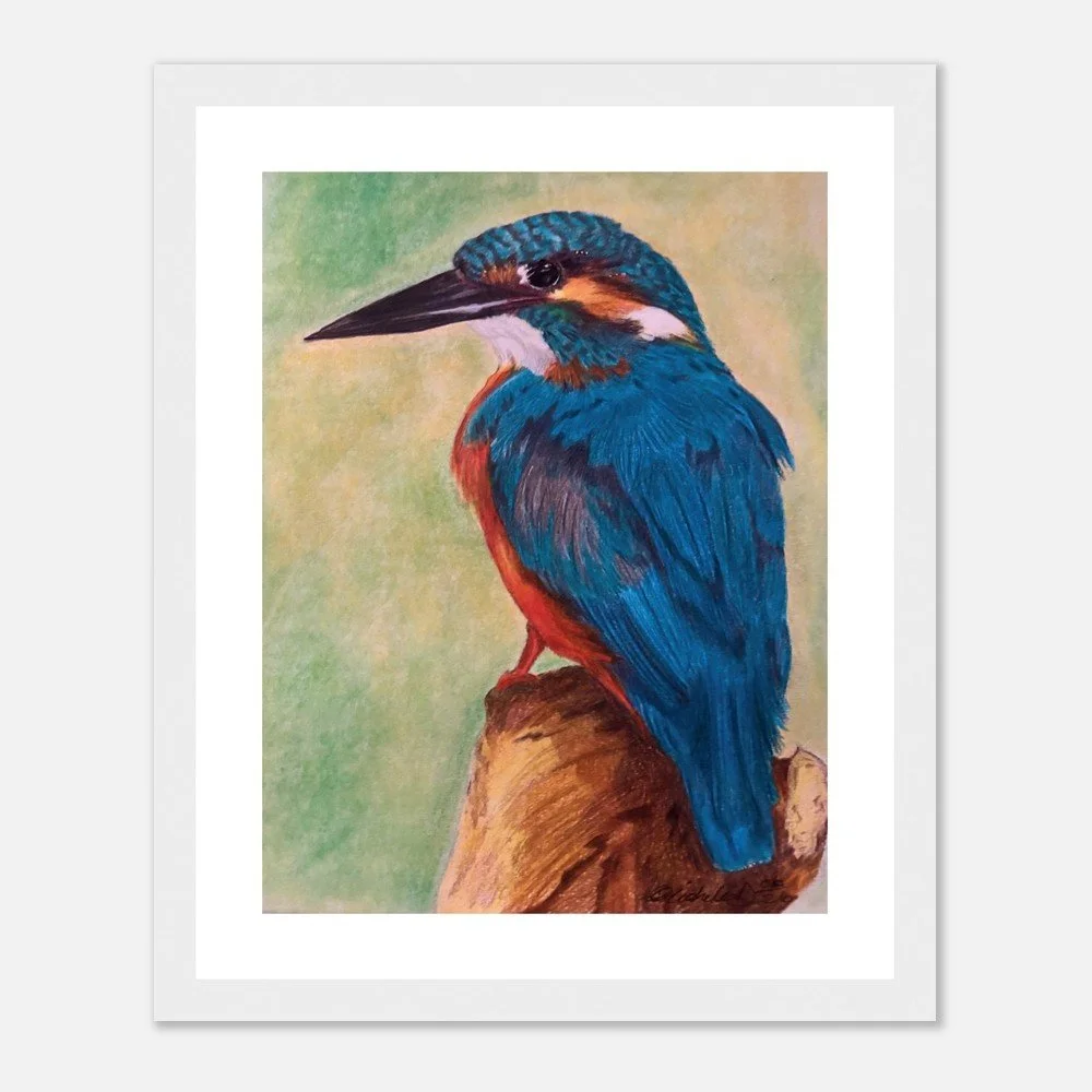 Kingfisher – Fine Art Print - Framed