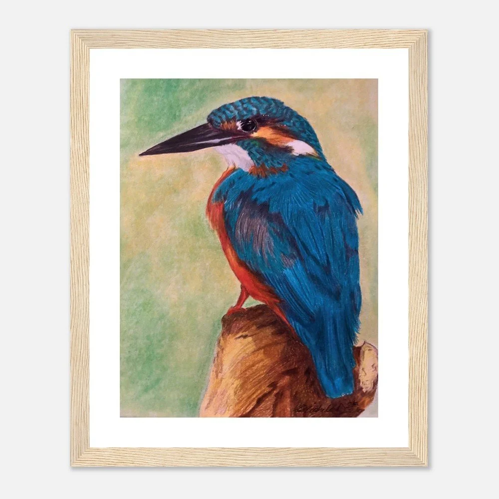 Kingfisher – Fine Art Print - Framed