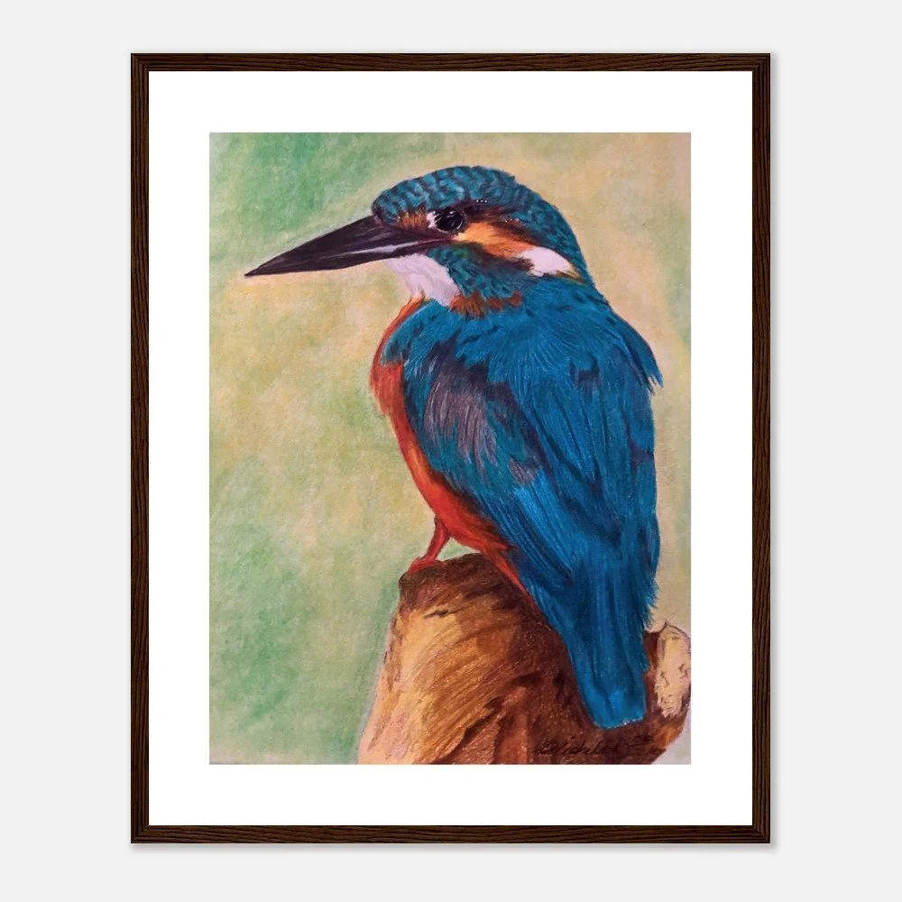 Kingfisher – Fine Art Print - Framed