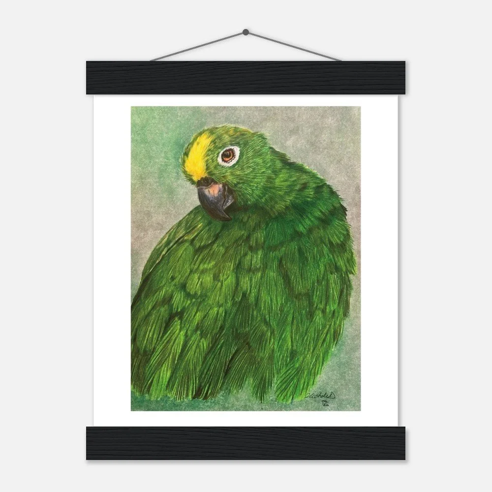 Green Parrot Art Print - Framed