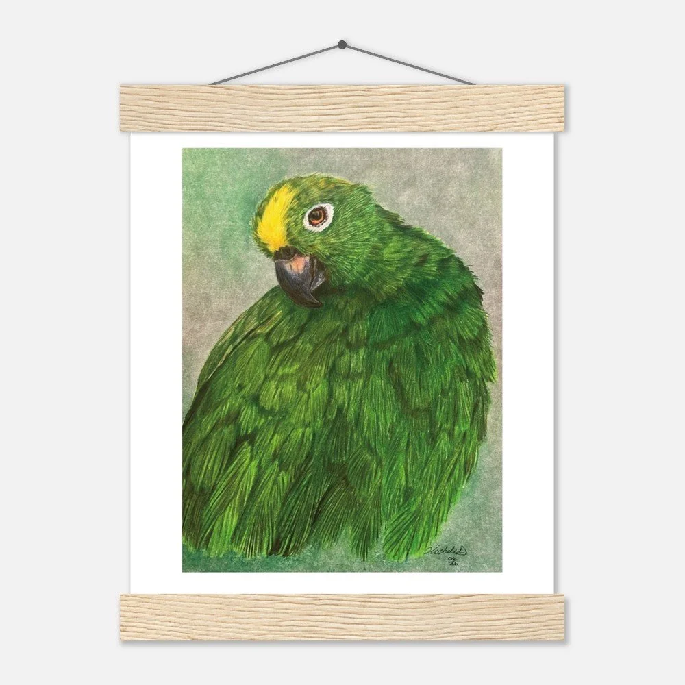 Green Parrot Art Print - Framed