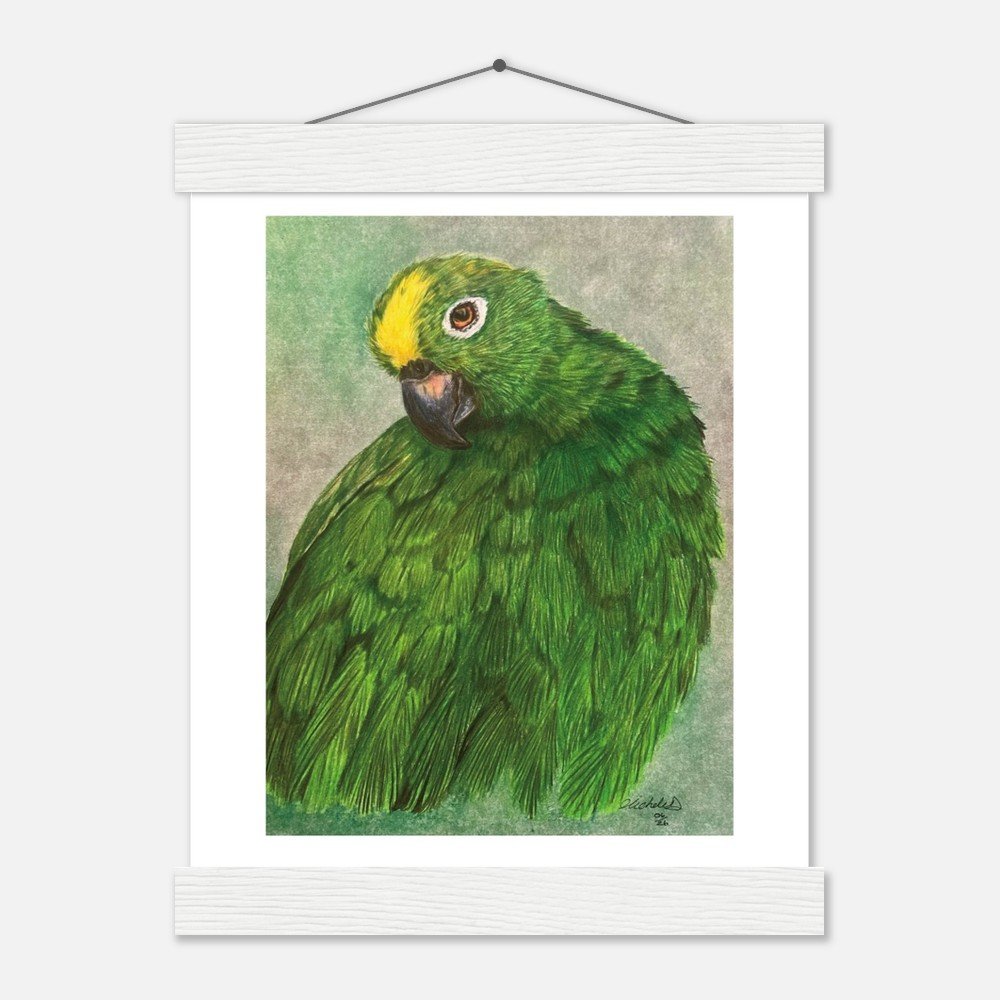 Green Parrot Art Print - Framed