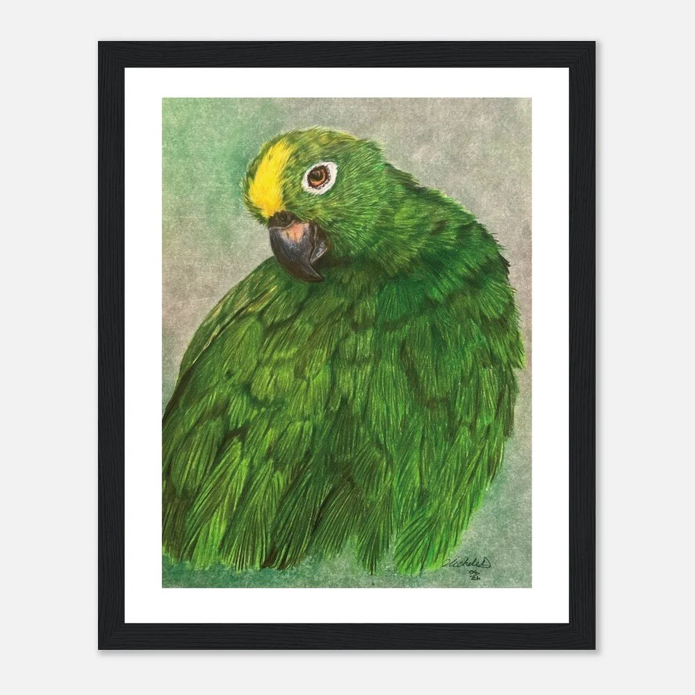 Green Parrot Art Print - Framed